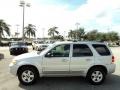 2006 Silver Metallic Ford Escape Hybrid 4WD  photo #12