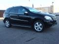 Black - ML 350 4Matic Photo No. 2