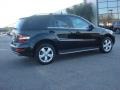Black - ML 350 4Matic Photo No. 3
