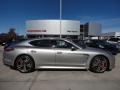 Platinum Silver Metallic - Panamera Turbo Photo No. 7