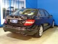 Black - C 300 Luxury 4Matic Photo No. 9