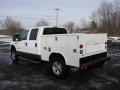 Oxford White - F350 Super Duty XLT Crew Cab 4x4 Photo No. 6