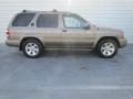 Bronzed Gray Metallic - Pathfinder LE Photo No. 2