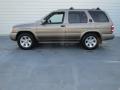 Bronzed Gray Metallic - Pathfinder LE Photo No. 5