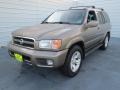 Bronzed Gray Metallic - Pathfinder LE Photo No. 6