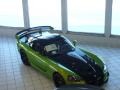 2009 Viper Snakeskin Green Pearl Dodge Viper SRT-10 ACR Coupe  photo #19