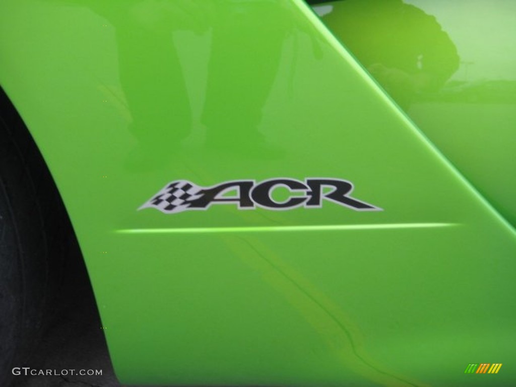 2009 Viper SRT-10 ACR Coupe - Viper Snakeskin Green Pearl / Black photo #59