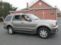 2003 Mineral Grey Metallic Lincoln Aviator Luxury AWD  photo #10