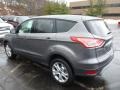 Sterling Gray Metallic 2013 Ford Escape SEL 2.0L EcoBoost 4WD Exterior