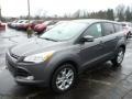 2013 Sterling Gray Metallic Ford Escape SEL 2.0L EcoBoost 4WD  photo #5