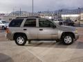 2002 Sandalwood Metallic Chevrolet TrailBlazer LS 4x4  photo #13