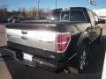 2010 Tuxedo Black Ford F150 Platinum SuperCrew 4x4  photo #5