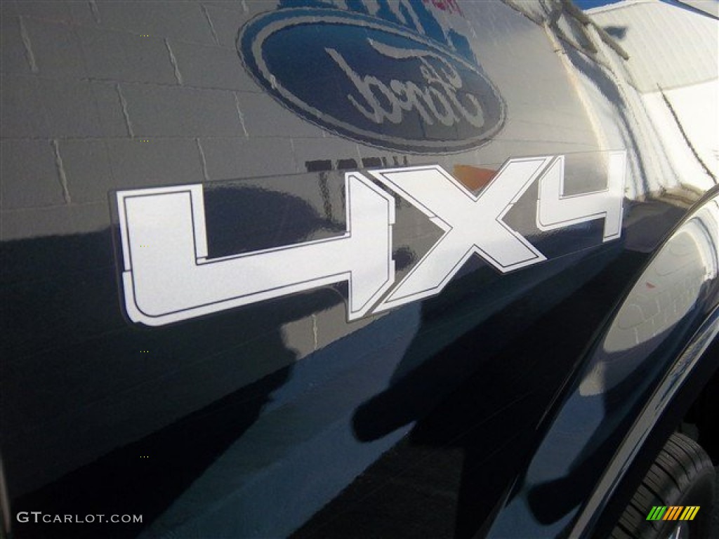 2010 F150 Platinum SuperCrew 4x4 - Tuxedo Black / Medium Stone Leather/Sienna Brown photo #6