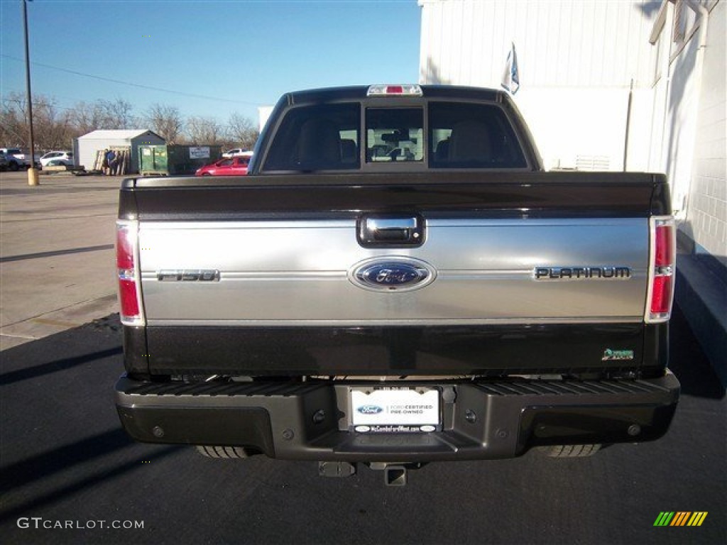 2010 F150 Platinum SuperCrew 4x4 - Tuxedo Black / Medium Stone Leather/Sienna Brown photo #7