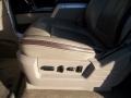 2010 Tuxedo Black Ford F150 Platinum SuperCrew 4x4  photo #14