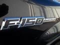 2010 Tuxedo Black Ford F150 Platinum SuperCrew 4x4  photo #21