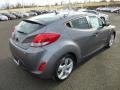 Triathlon Gray - Veloster  Photo No. 7