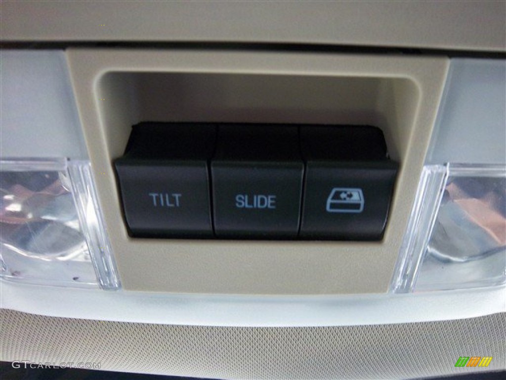 2010 F150 Platinum SuperCrew 4x4 - Tuxedo Black / Medium Stone Leather/Sienna Brown photo #30