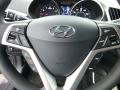 Triathlon Gray - Veloster  Photo No. 18