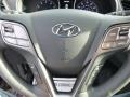 2013 Hyundai Santa Fe Saddle Interior Controls Photo
