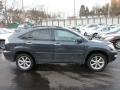 Flint Mica - RX 350 AWD Photo No. 12