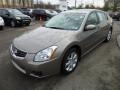 2008 Pebble Beach Metallic Nissan Maxima 3.5 SL  photo #3