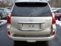 Satin Cashmere Metallic - GX 460 Photo No. 3