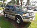 2005 Estate Green Metallic Ford Expedition Eddie Bauer  photo #8