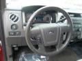 2010 Red Candy Metallic Ford F150 XLT SuperCrew  photo #13