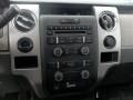 2010 Red Candy Metallic Ford F150 XLT SuperCrew  photo #15