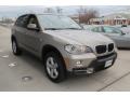 Platinum Bronze Metallic - X5 xDrive30i Photo No. 7