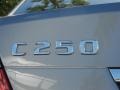 2013 Palladium Silver Metallic Mercedes-Benz C 250 Sport  photo #4