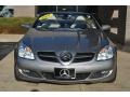 2007 Pewter Metallic Mercedes-Benz SLK 350 Roadster  photo #19