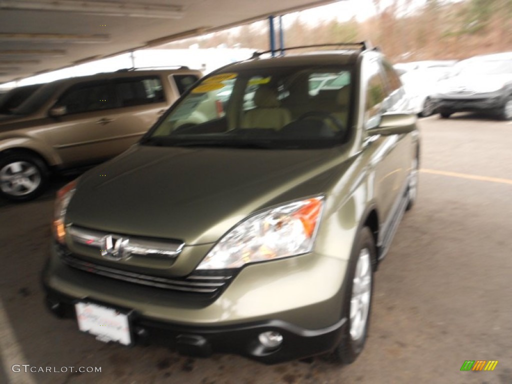 2009 CR-V EX-L 4WD - Green Tea Metallic / Ivory photo #29