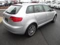 Ice Silver Metallic - A3 2.0T Photo No. 7