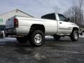 Bright Silver Metallic - Ram 2500 SLT Regular Cab 4x4 Photo No. 11