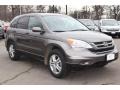 2010 Urban Titanium Metallic Honda CR-V EX-L AWD  photo #3