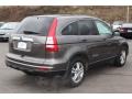2010 Urban Titanium Metallic Honda CR-V EX-L AWD  photo #5