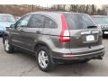 2010 Urban Titanium Metallic Honda CR-V EX-L AWD  photo #7