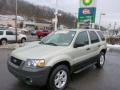 2005 Gold Ash Metallic Ford Escape XLT V6 4WD  photo #1