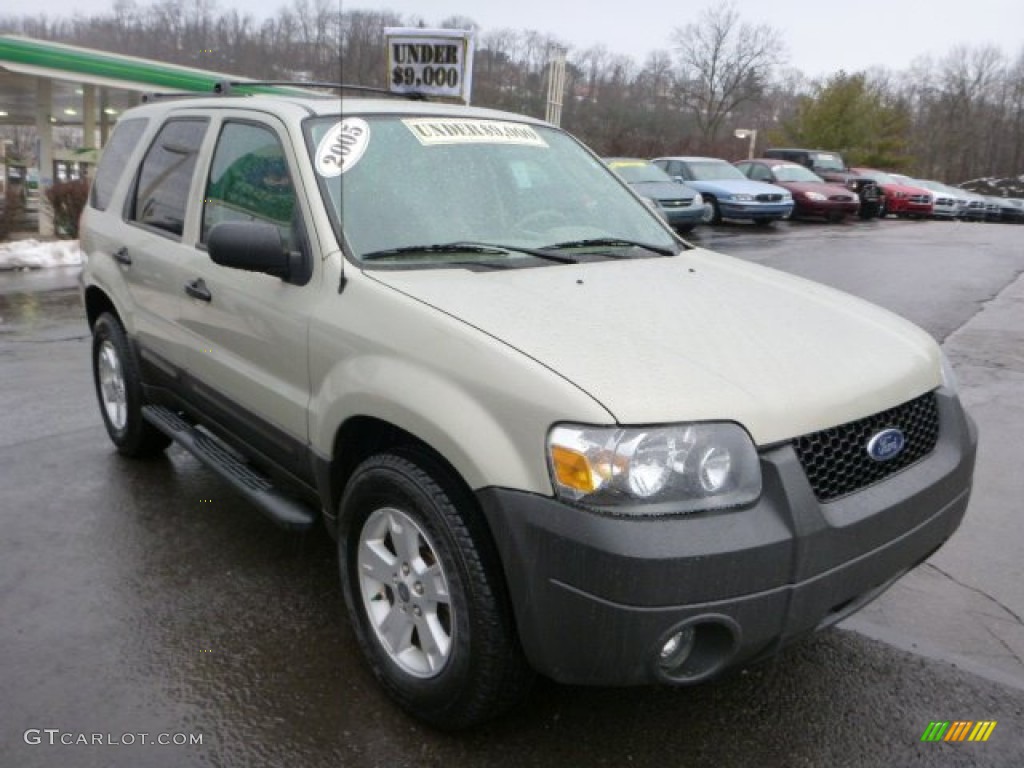 Gold Ash Metallic 2005 Ford Escape XLT V6 4WD Exterior Photo #75868597