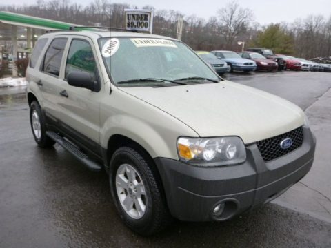 2005 Ford Escape XLT V6 4WD Data, Info and Specs