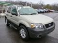 2005 Gold Ash Metallic Ford Escape XLT V6 4WD  photo #4