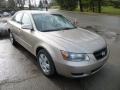 Golden Beige - Sonata GLS Photo No. 1