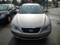 Golden Beige - Sonata GLS Photo No. 2