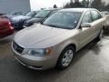 Golden Beige - Sonata GLS Photo No. 3