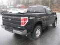 2011 Tuxedo Black Metallic Ford F150 XL Regular Cab 4x4  photo #7