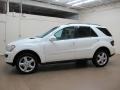 Alabaster White - ML 350 4Matic Photo No. 5