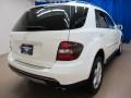 Alabaster White - ML 350 4Matic Photo No. 9