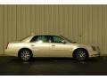 White Diamond Tricoat - DTS Premium Photo No. 7
